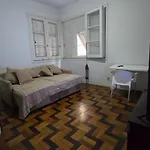 Quarto Em Apartamento No Bairro Das Laranjeiras Com 2 Gatinhos Lindos!