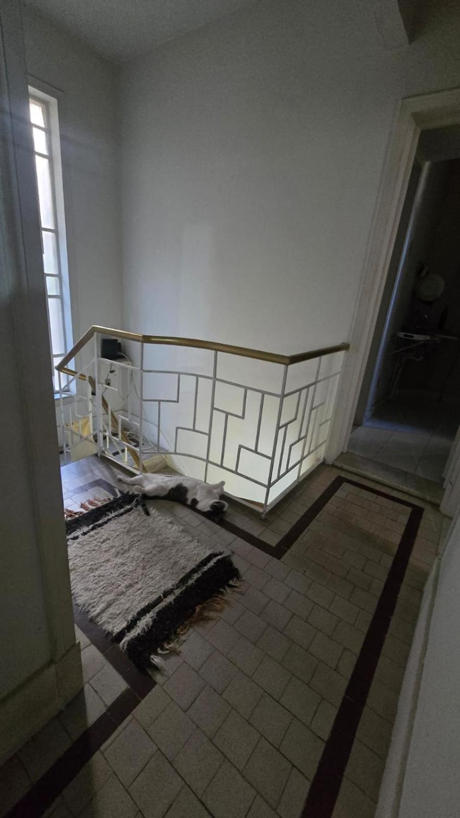 Homestay Em No Bairro Laranjeiras Com 2 Gatinhos Lindos! Rio de Janeiro