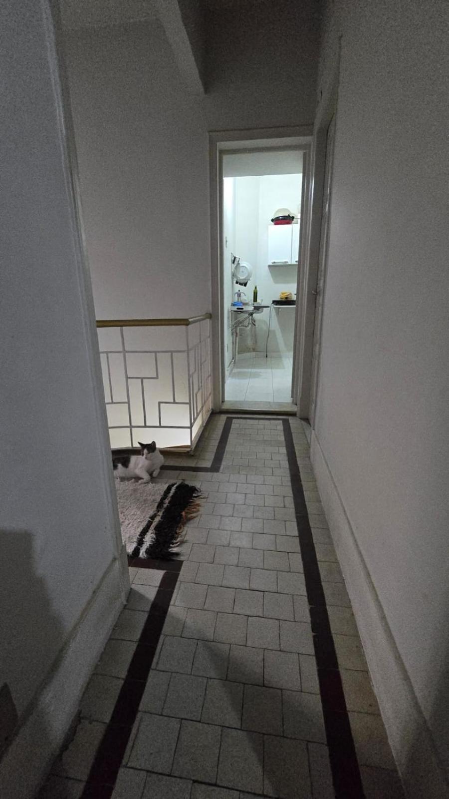 Em No Bairro Laranjeiras Com 2 Gatinhos Lindos! Hospedagem domiciliar *
