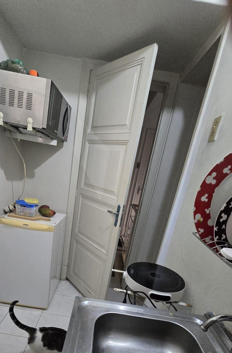Hospedagem domiciliar Em No Bairro Laranjeiras Com 2 Gatinhos Lindos! *