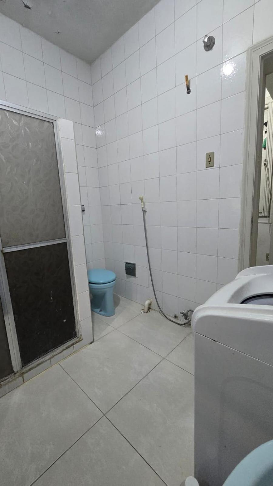 Hospedagem domiciliar Em No Bairro Laranjeiras Com 2 Gatinhos Lindos!