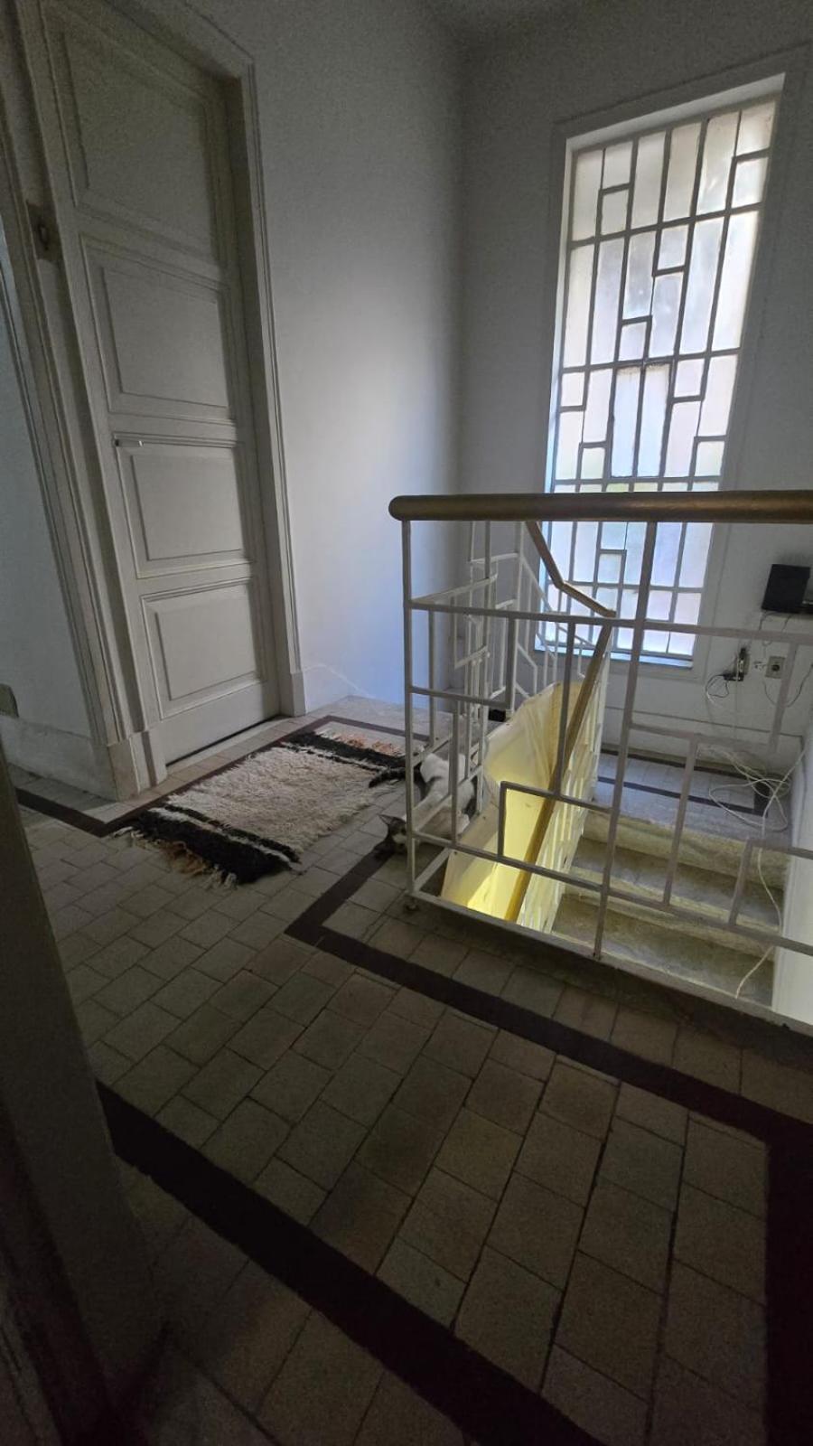 Em No Bairro Laranjeiras Com 2 Gatinhos Lindos! Homestay *