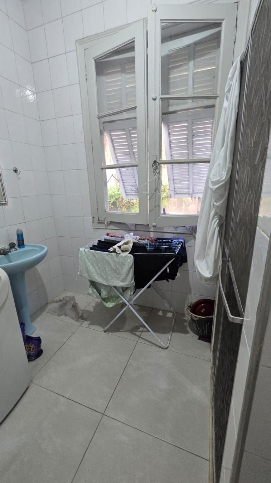 Hospedagem domiciliar Em No Bairro Laranjeiras Com 2 Gatinhos Lindos! *