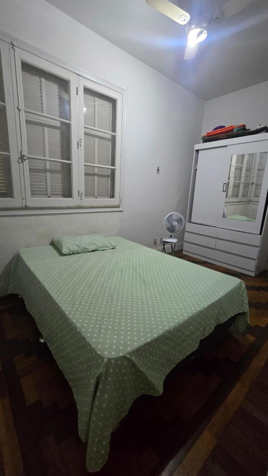 Hospedagem domiciliar Em No Bairro Laranjeiras Com 2 Gatinhos Lindos! Rio de Janeiro