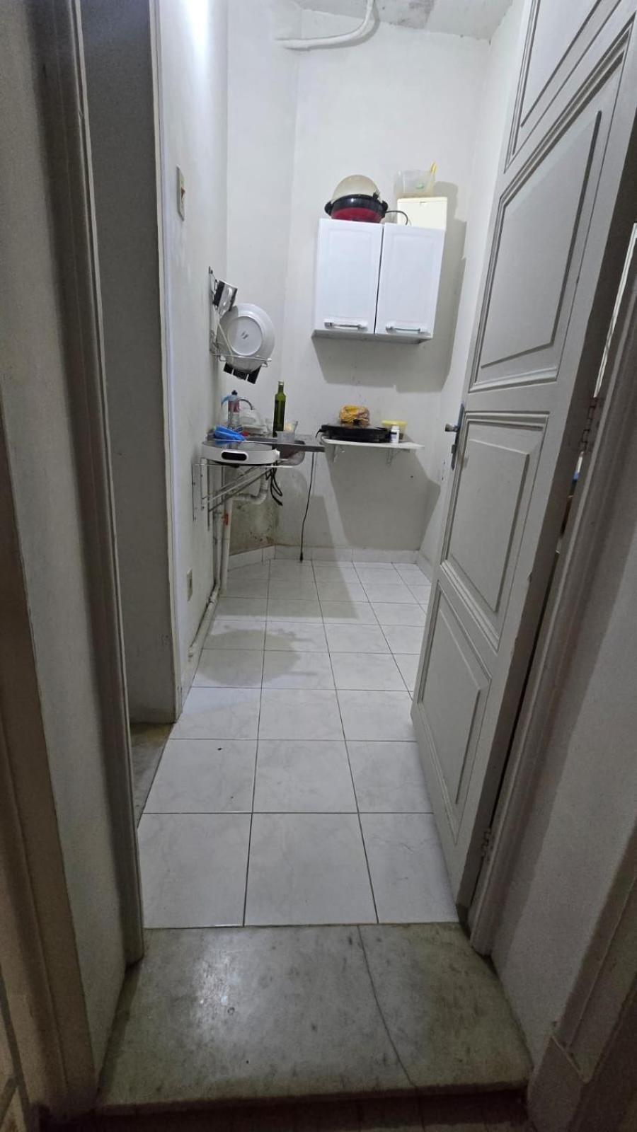 Hospedagem domiciliar Em No Bairro Laranjeiras Com 2 Gatinhos Lindos! Rio de Janeiro